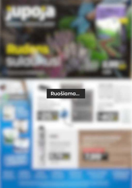 Leidinys ruošiamas