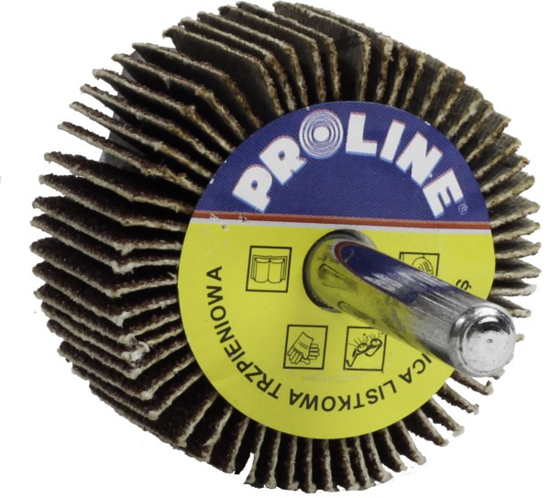 Prekės nuotrauka Cilindras šlifavimui lapelinis A100 40 x 20 mm Proline IŠPARDUOTA