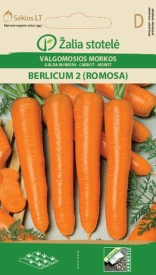 Prekės nuotrauka Sėklos morkų BERLICUM 2 ROMOSA Žalia stotelė IŠPARDUOTA