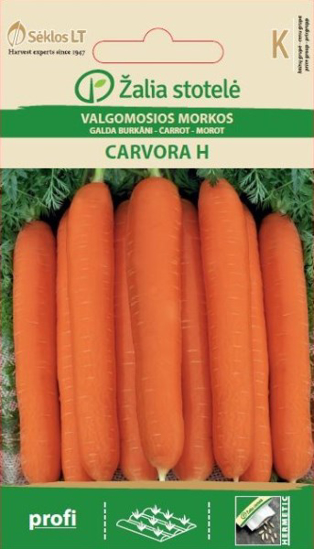 Prekės nuotrauka Sėklos morkos valgomosios CARVORA H 1g IŠPARDUOTA