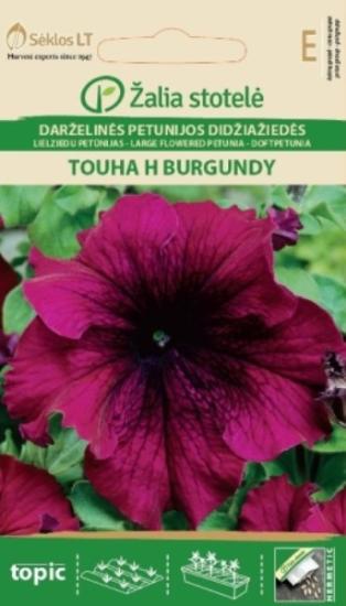 Prekės „Sėklos petunijos didžiažiedės Touha H BURGUNDY IŠPARDUOTA“ paveikslėlis