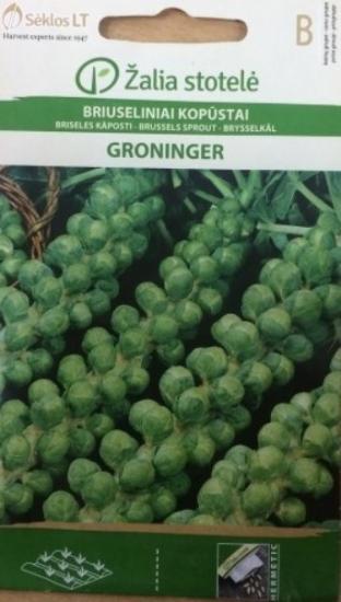 Prekės „Sėklos kopūstai BRIUSELINIAI GRONINGER IŠPARDUOTA“ paveikslėlis