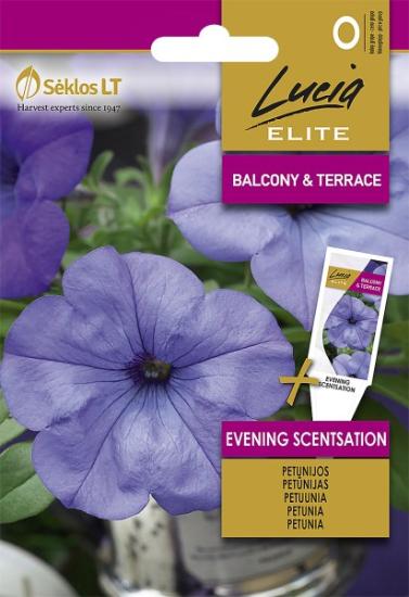 Prekės „Sėklos petunijos EVENING SCENTSATION IŠPARDUOTA“ paveikslėlis