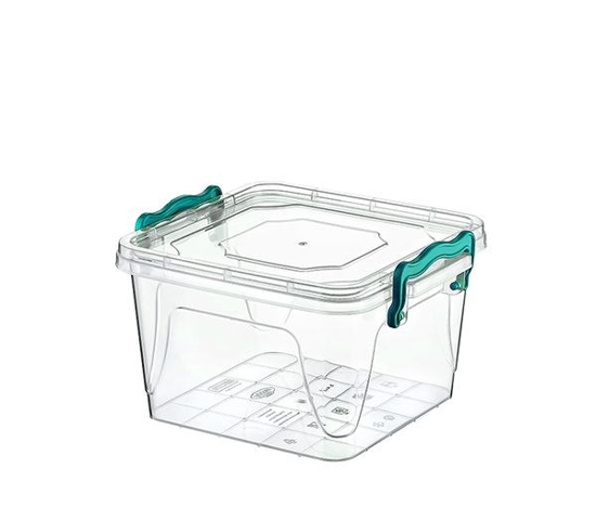 Prekės nuotrauka Skaidri dėžutė, tinka maistui 2,4 l 20 x 18 x 11,5 cm Hobby life