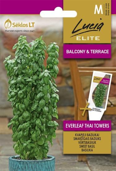 Prekės „Sėklos Bazilikai kvapieji EVERLEAF THAI TOWERS IŠPARDUOTA“ paveikslėlis