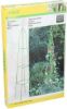 Prekės „Atrama augalų 31x31x200cm Kinzo Garden IŠPARDUOTA“ paveikslėlis