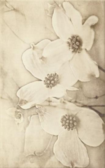 Prekės „CERSANIT Plytelių keraminis dekoras TUTI BEIGE INS FLOWER 25 x 40 cm IŠPARDUOTA“ paveikslėlis