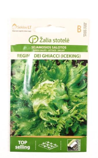 Prekės „Sėklos Salotos Regina Dei Ghiacci  IŠPARDUOTA“ paveikslėlis
