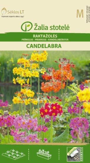 Prekės „Sėklos raktažolės CANDELABRA 0,01g IŠPARDUOTA“ paveikslėlis