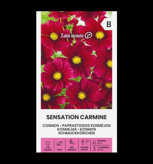 Prekės „Sėklos paprastosios kosmėjos SENSATION CARMINE 1g IŠPARDUOTA“ paveikslėlis