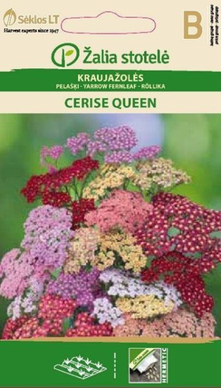 Prekės nuotrauka Sėklos kraujažolės CERISE QUEEN 0,1g IŠPARDUOTA