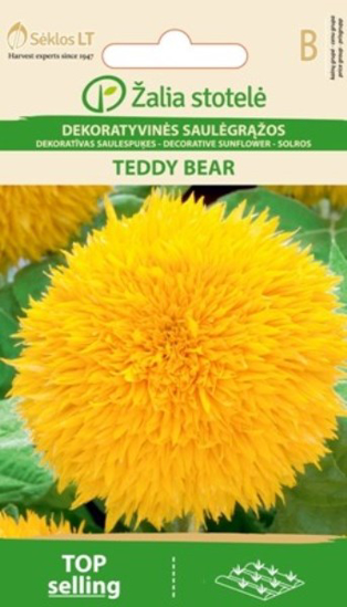 Prekės nuotrauka Sėklos dekoratyvinės saulėgrąžos TEDDY BEAR 2g IŠPARDUOTA