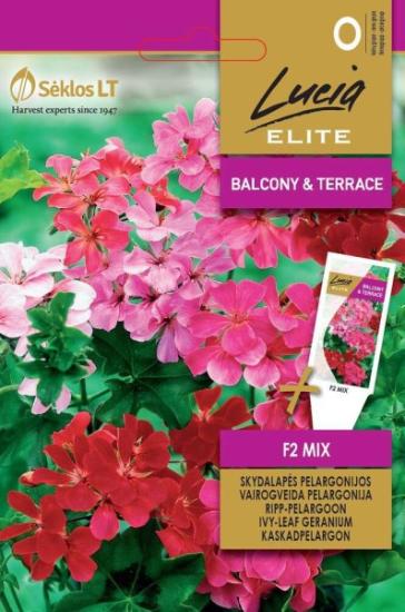Prekės „Sėklos pelargonijos skydalapės F2 MIX Lucia ELITE IŠPARDUOTA“ paveikslėlis