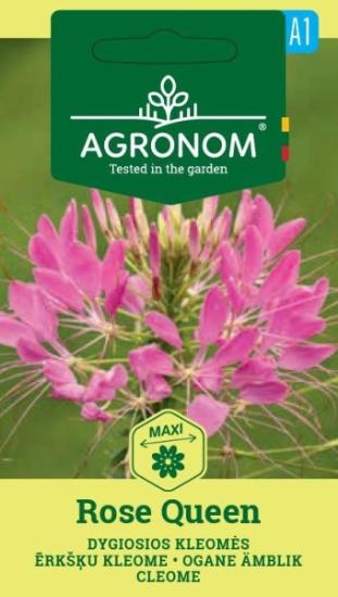 Prekės „Sėklos kleomės dygiosios ROSE QUEEN Agronom IŠPARDUOTA“ paveikslėlis