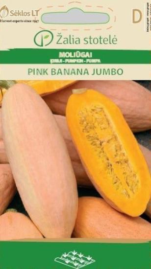 Prekės „Sėklos moliūgų PINK BANANA JUMBO Žalia stotelė IŠPARDUOTA“ paveikslėlis