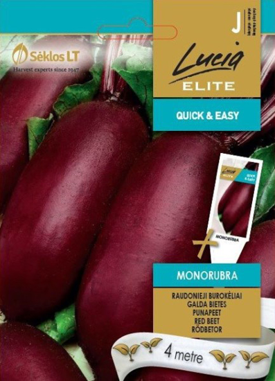 Prekės nuotrauka Sėklos raudonųjų burokėlių MONORUBRA Lucia ELITE IŠPARDUOTA