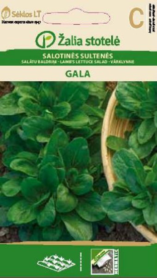 Prekės nuotrauka Sėklos salotinės sultenės GALA Žalia stotelė IŠPARDUOTA