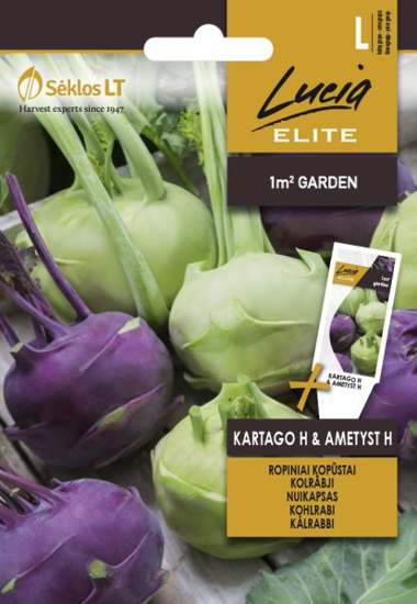 Prekės nuotrauka Sėklos kopūstai ropiniai KARTAGO H & AMETYST H  0,4g IŠPARDUOTA
