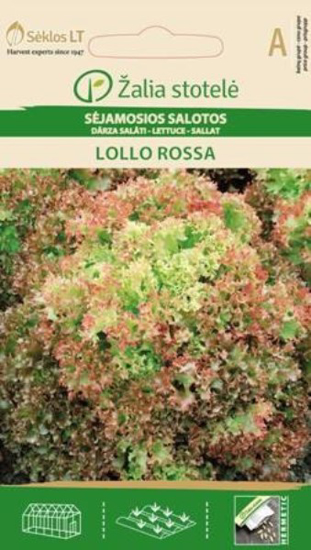 Prekės nuotrauka Sėklos sėjamosios salotos LOLLO ROSSA Žalia stotelė IŠPARDUOTA