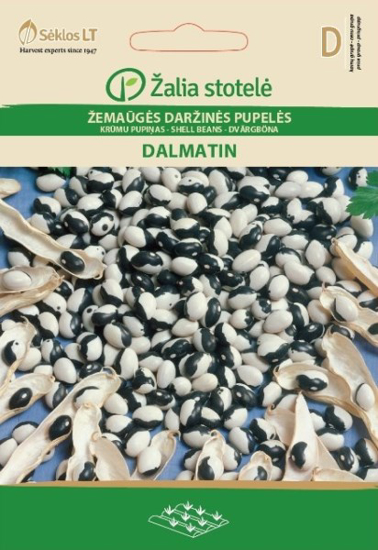 Prekės nuotrauka Žemaūgių daržinių pupelių sėklos DALMATIN 10 g IŠPARDUOTA