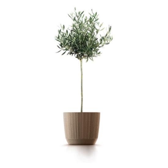 Prekės „Vazonas DRF170W-4665W Ryfo Eco wood, šviesiai rudos spalvos IŠPARDUOTA“ paveikslėlis