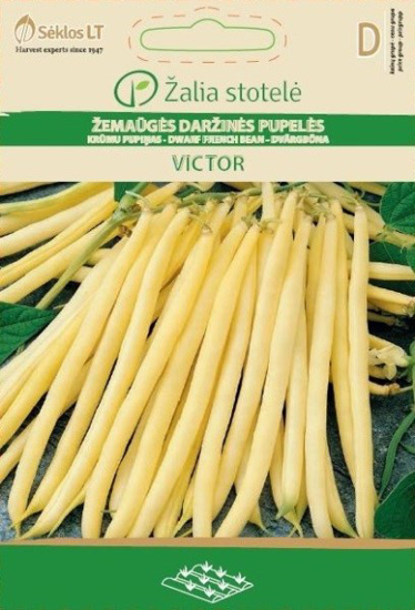 Prekės nuotrauka Žemaūgių daržinių pupelių sėklos VICTOR, 15 g