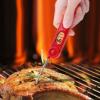 Prekės „Skaitmeninis momentinis maisto termometras ThermoPro TP-03 IŠPARDUOTA“ paveikslėlis
