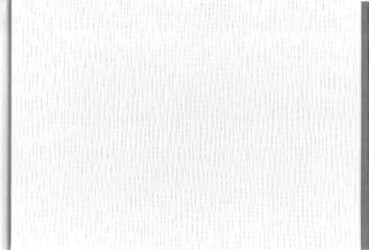 Prekės „Dailylentė medienos plaušo 4R Rest 285 x 1800 mm Ecotex“ paveikslėlis