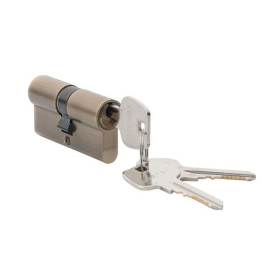 Prekės nuotrauka Cilindras spynai 30x30 mm 3 raktai sendintas žalvaris 31E Z OGR