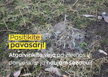 Prekės nuotrauka Kaip atgaivinti veją po žiemos