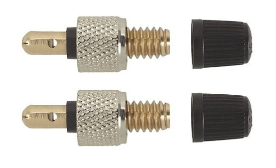 Prekės nuotrauka Vožtuvai ventyliui su dangteliu dviračiui 2 vnt DV 4Bike