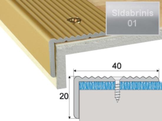 Prekės „Profilis laiptams A33 sidabro spalvos imitacija 40 x 20 mm 2,7 m A33-01-270“ paveikslėlis