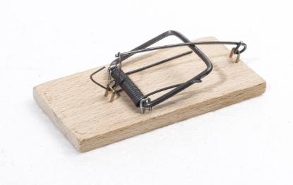 Prekės „Spąstai pelėms mediniai 5x10x0,7 cm“ paveikslėlis