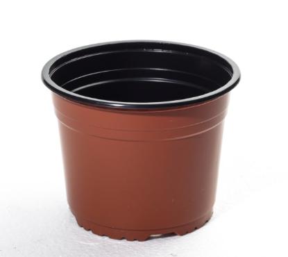 Prekės „Vazonėlis gėlėms daigams Ø 17 cm GPVCB17“ paveikslėlis