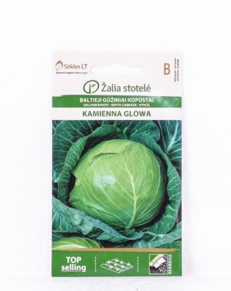 Prekės „Vėlyvųjų kopūstų sėklos KAMENA GLOWA 3G1   “ paveikslėlis