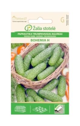 Prekės „Sėklos agurkų Bohemia H“ paveikslėlis
