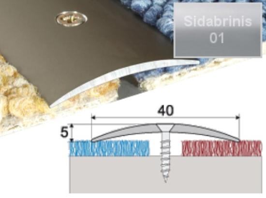 Prekės „Profilis grindų sujungimui su nuolydžiu A13 40x5mm 93cm sidabro spalva“ paveikslėlis