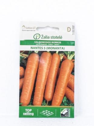 Prekės „Paprastosios morkų sėklos NANT-5 MONANTA“ paveikslėlis