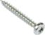 Prekės „Medsraigčiai iškilia galvute balti 3x25 mm YL813-25“ paveikslėlis