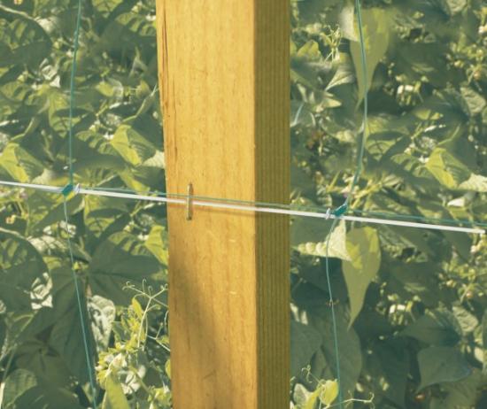 Prekės „Tinklas žirniams 1,2 x 5 m SZ-120/8 120243“ paveikslėlis
