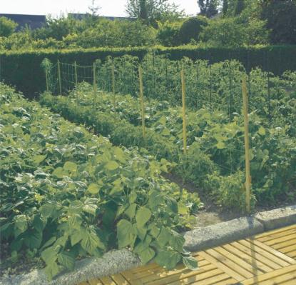 Prekės „Tinklas agurkams 1,7 x 10 m U-170/10 120246“ paveikslėlis