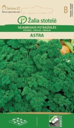 Prekės „Sėklos sėjamosios petražolės ASTRA 2g“ paveikslėlis
