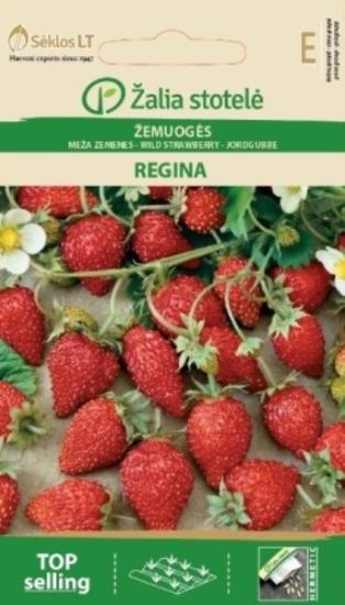 Prekės „Sėklos žemuogių REGINA Žalia stotelė“ paveikslėlis