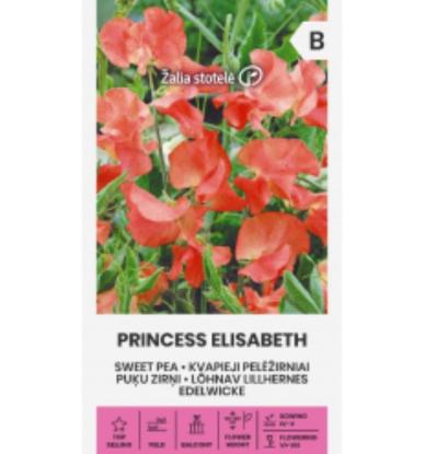 Prekės „Sėklos pelėžirniai kvapieji PRINCESS ELISABETH 2g“ paveikslėlis