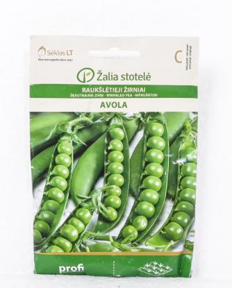 Prekės „Sėklos žirniai raukšlėtieji Avola“ paveikslėlis