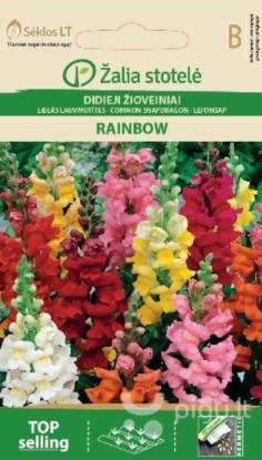 Prekės „Sėklos didieji žioveiniai RAINBOW Žalia stotelė“ paveikslėlis