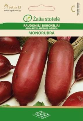 Prekės „Sėklos raudonųjų burokėlių MONORUBRA Žalia stotelė“ paveikslėlis