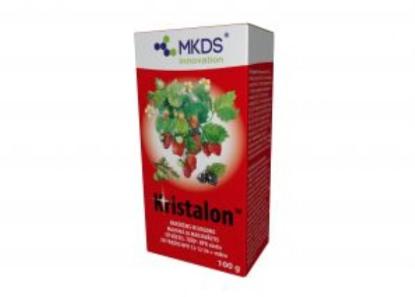 Prekės „Trąšos braškėms Kristalon raudonas 100 g“ paveikslėlis