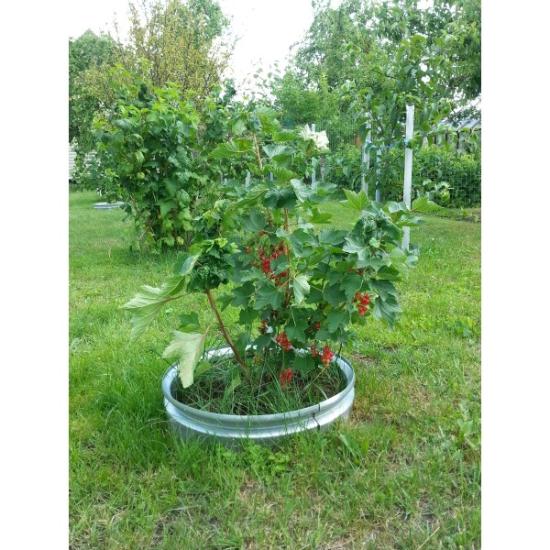 Prekės „Augalų atskyrimo žiedas Ø 48 cm dažytas“ paveikslėlis