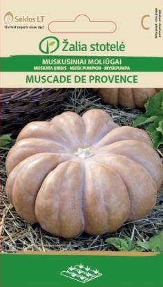 Prekės „Sėklos muskusinių moliūgų MUSCADE DE PROVENCE Žalia stotelė“ paveikslėlis